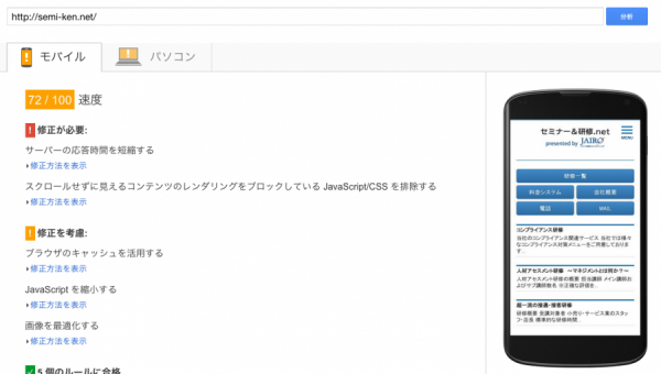 Page Speed Insights03